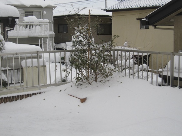 2014大雪.jpg
