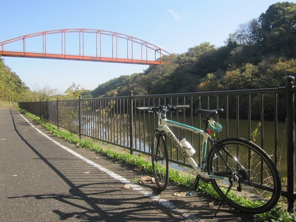 印旛捷水路とBianchi.jpg
