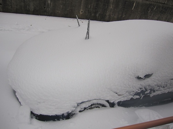 車の積雪.jpg